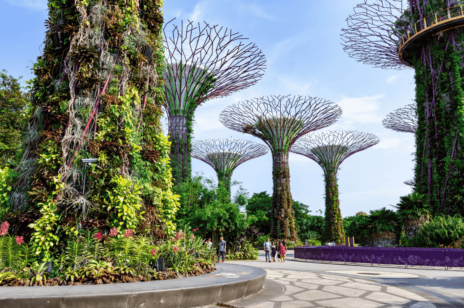 Families stroll beneath the towering Supertrees at Singapore’s Gardens by the Bay, where vertical gardens covered in lush greenery create a futuristic yet natural playground. The iconic canopies and vibrant pathways make this sustainable attraction a favorite spot for kids to explore and for parents to enjoy the city’s most imaginative outdoor experience.