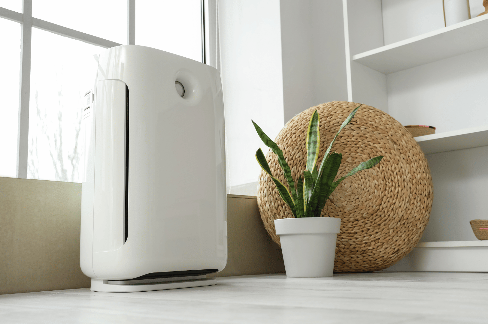 White air purifier beside a small green houseplant in a bright living room, suggesting clean indoor air during haze season.