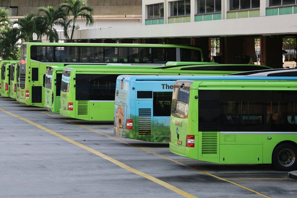 A row of green Singapore buses parked neatly in a parking lot under clear skies.