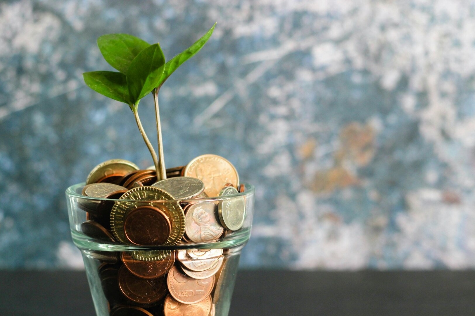A glass vase on a table containing money and a plant, symbolizing finance and growth.