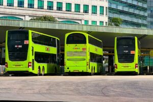 Three Singapore double-decker buses parked in front of a building, showcasing urban transportation in the city.