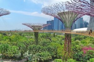 Lush trees and visitors stroll across a bridge in Singapore's Gardens by the Bay, showcasing vibrant greenery and urban beauty.