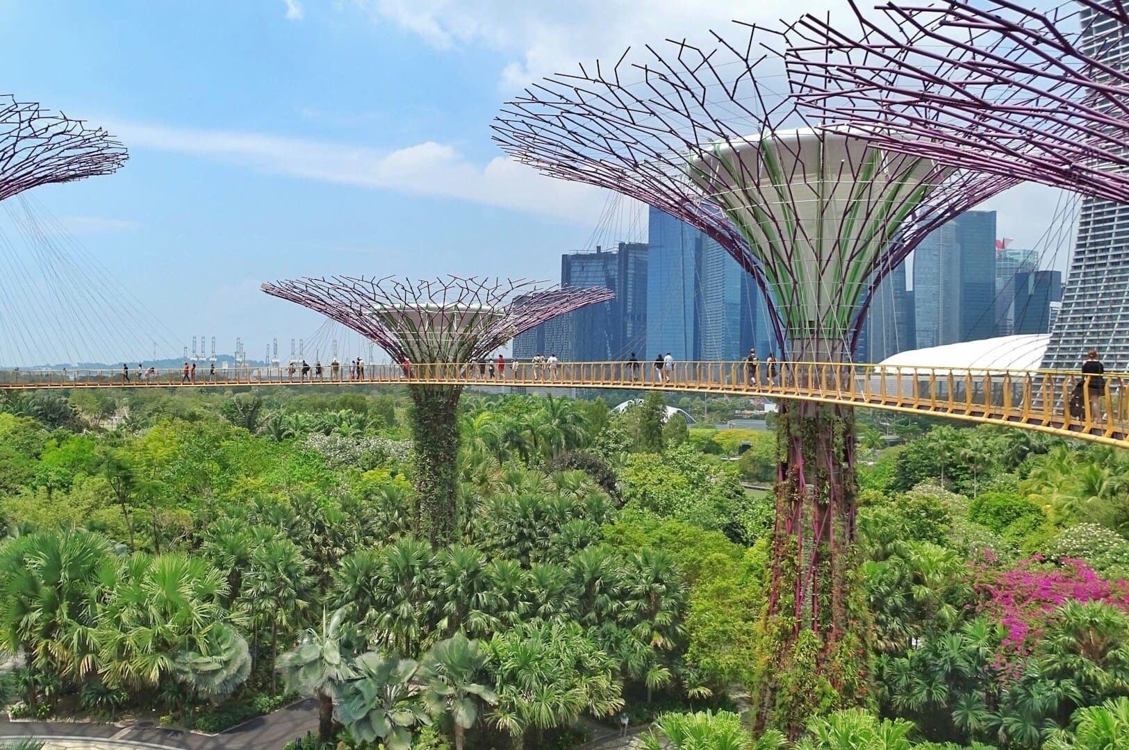 Lush trees and visitors stroll across a bridge in Singapore's Gardens by the Bay, showcasing vibrant greenery and urban beauty.