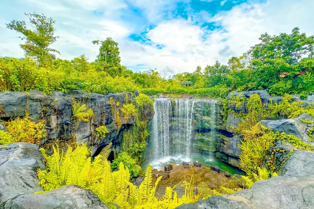 Lush waterfall landscape at Bird Paradise surrounded by tropical greenery.