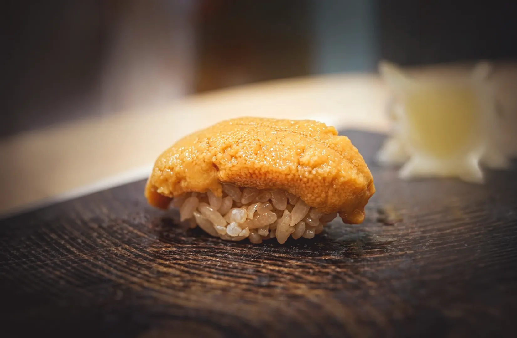 Uni nigiri sushi (sea urchin) on rice with blurred background
