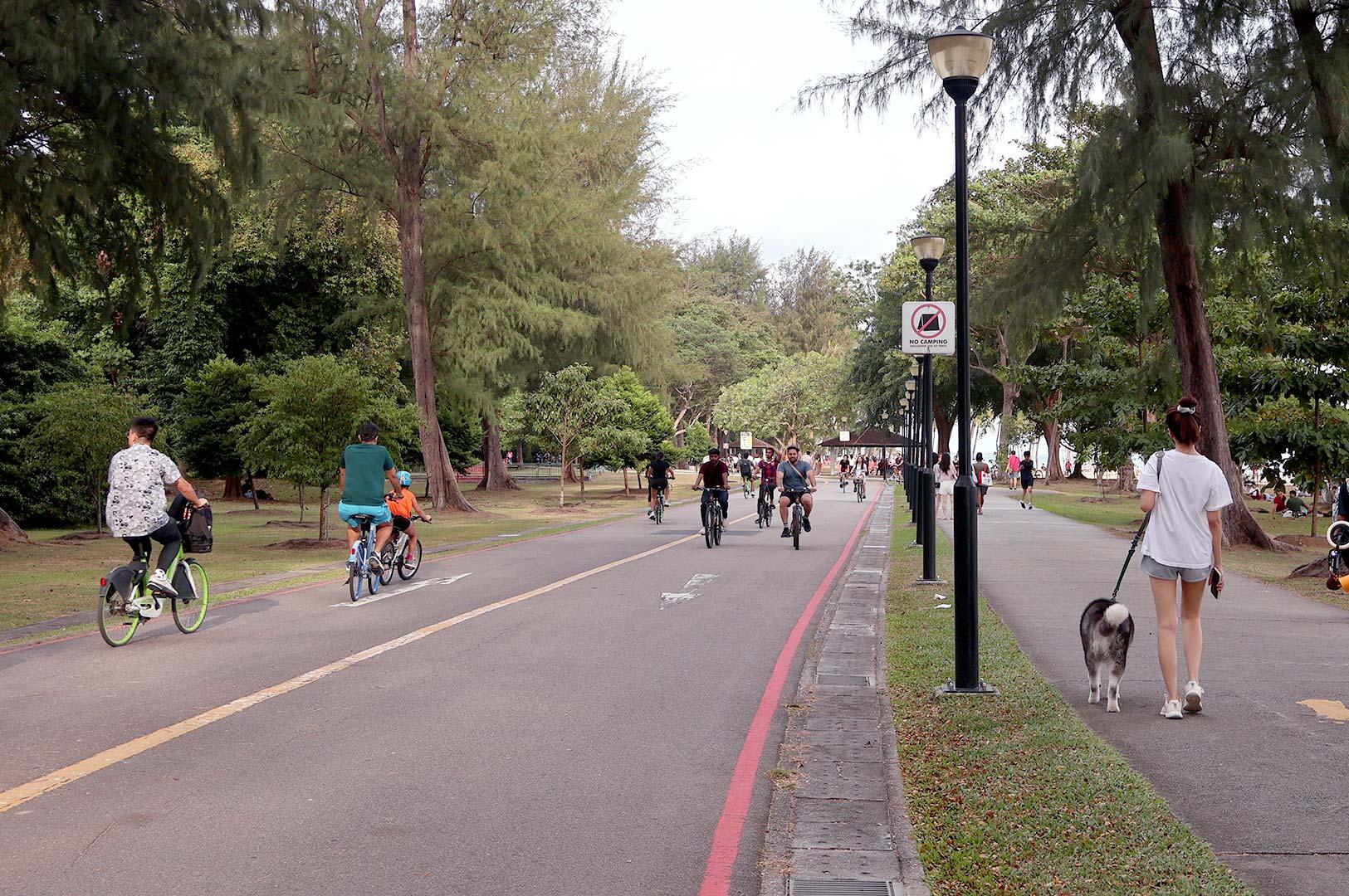Park connector in Singapore with cyclists and joggers enjoying outdoor lifestyle