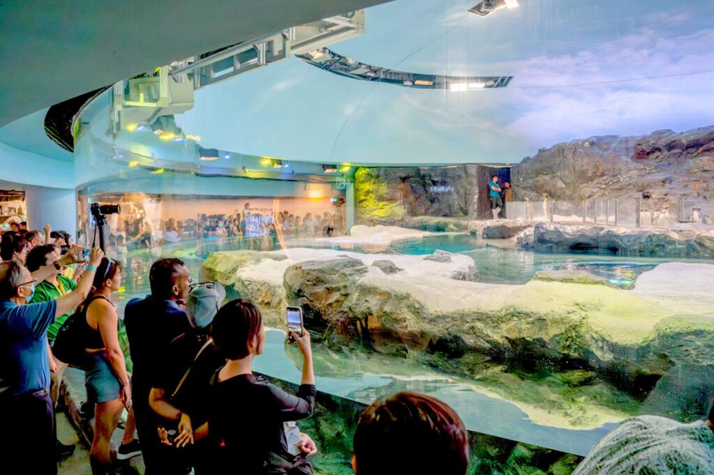 Visitors watching penguins in an indoor exhibit at Bird Paradise.