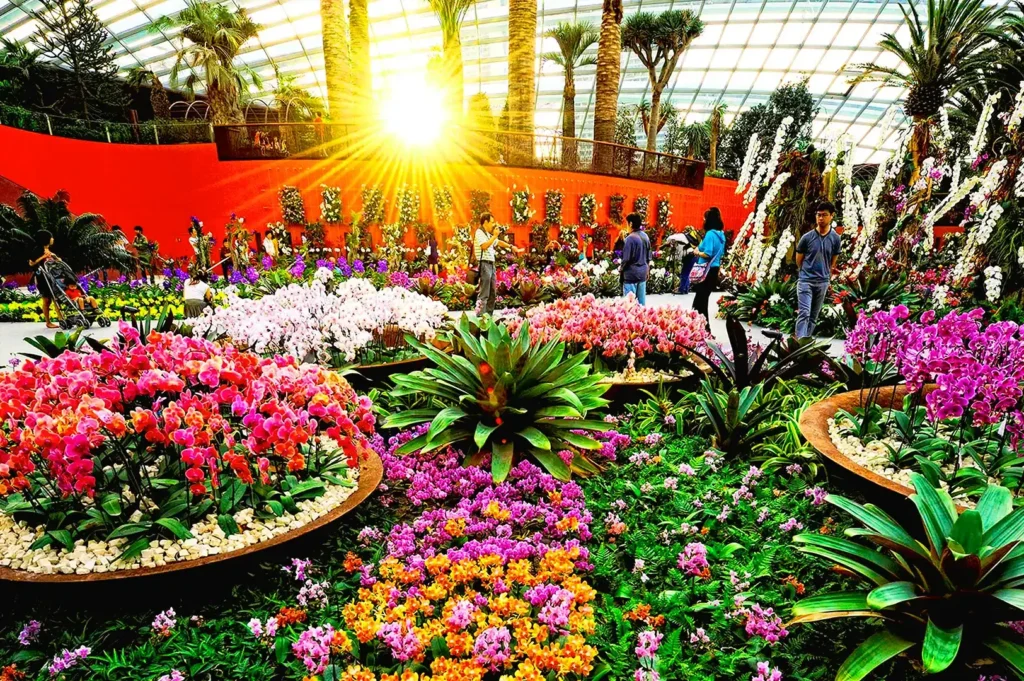 Colorful floral display inside Flower Dome at Gardens by the Bay Singapore with vibrant orchids and tropical garden arrangements