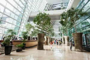 A spacious, modern atrium with large potted trees and a glass facade, with people walking through the lobby.