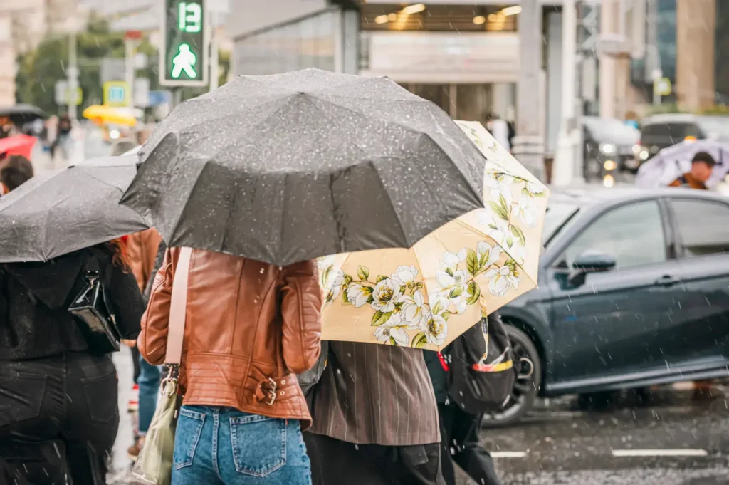 People holding umbrellas walk on a wet street in the rain, with cars passing by.